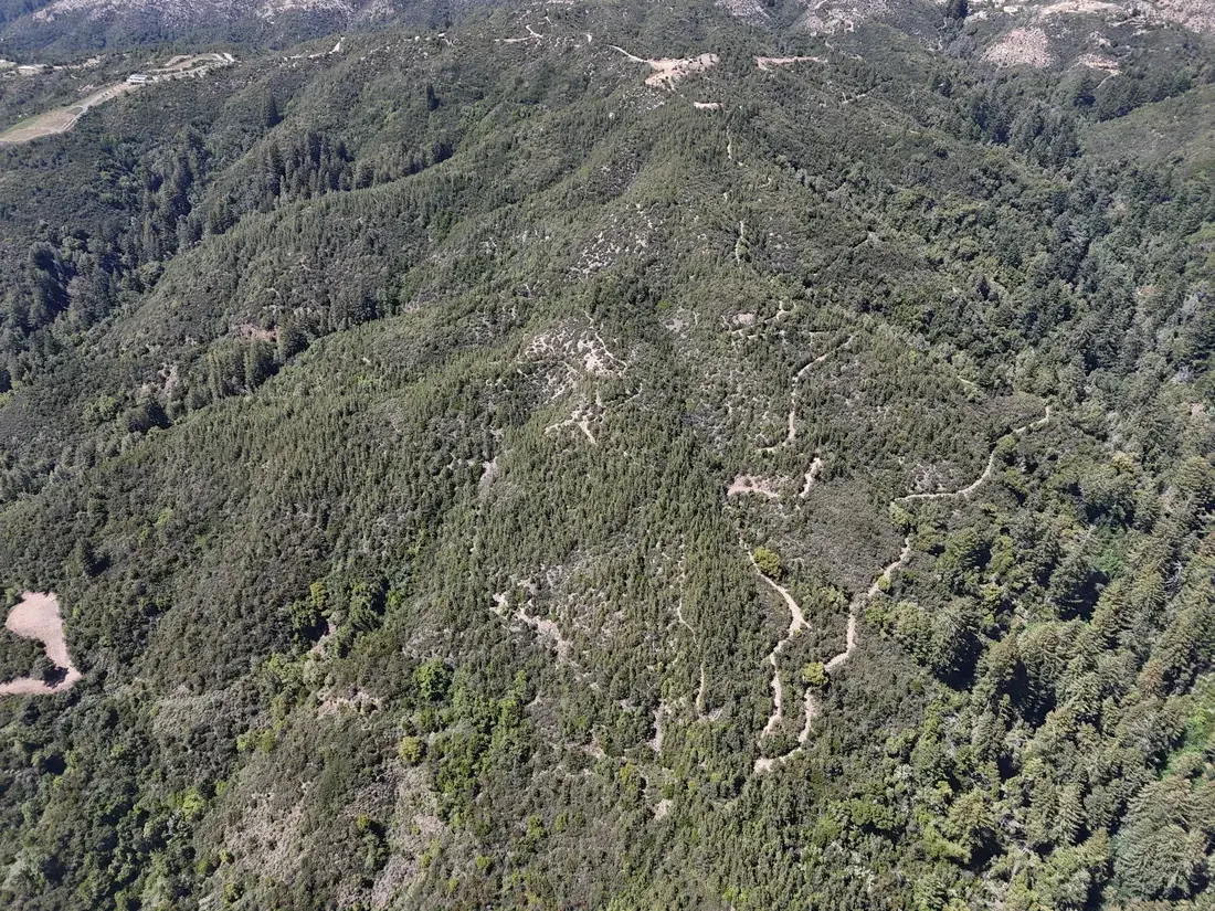 Aerial view of the drive traversing the ridge