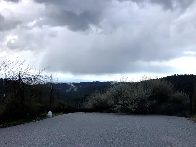 The surfaced private drive climbing through oak