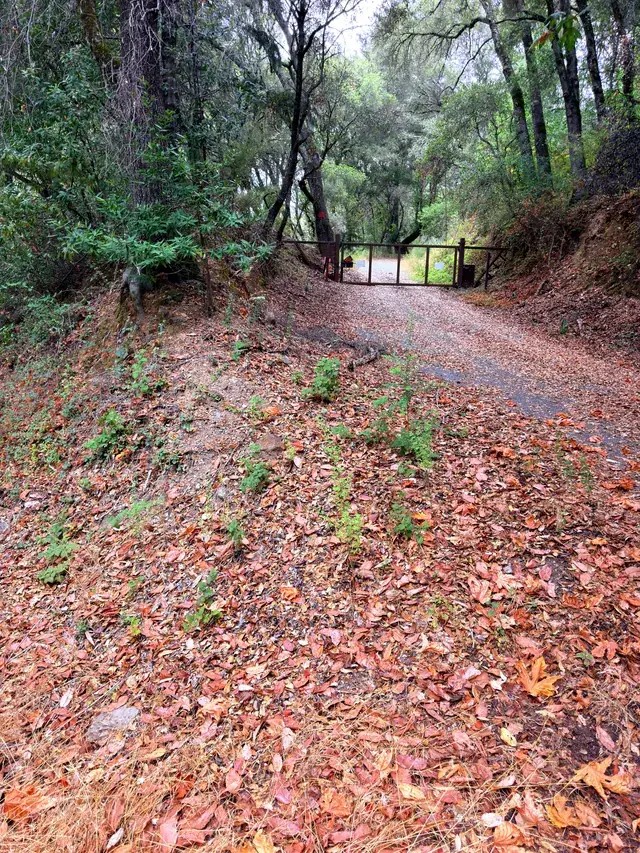 Eureka Canyon Road at the property frontage