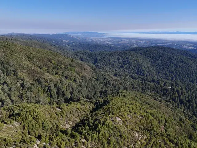 Ridge after ridge toward the Monterey Bay horizon