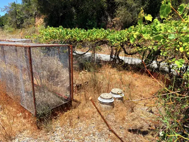 Additional storage tanks in the planting area