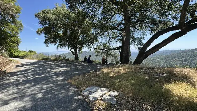 Oak canopy over the interior road