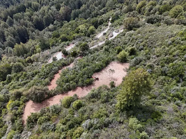 Cleared ground along the road system