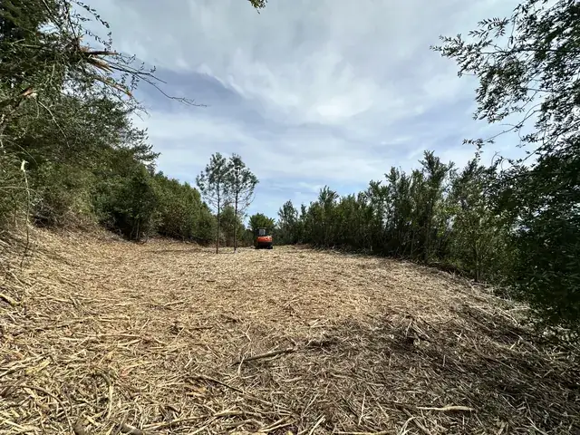 A cleared and mulched building bench
