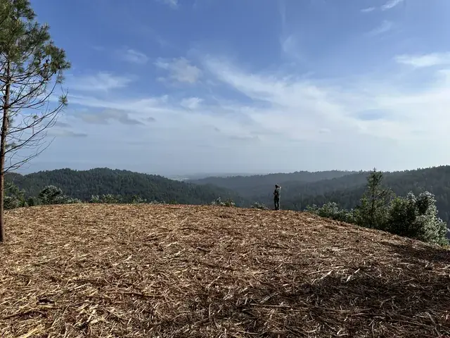Cleared bench with long canyon views