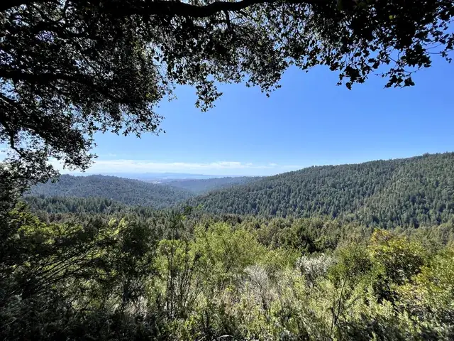 Canyon framed by live oak