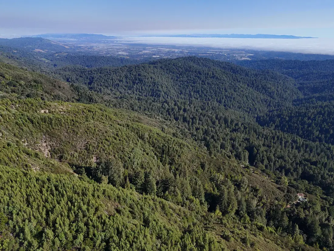 Aerial view northwest across forested ridges toward the Monterey Bay horizon